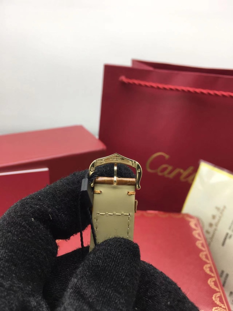 cartier_xxxxx_big_00016.jpg