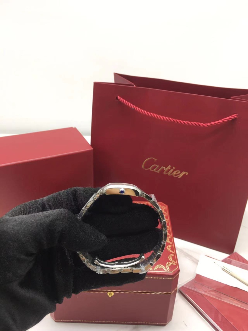 cartier_xxxxx_big_00005.jpg