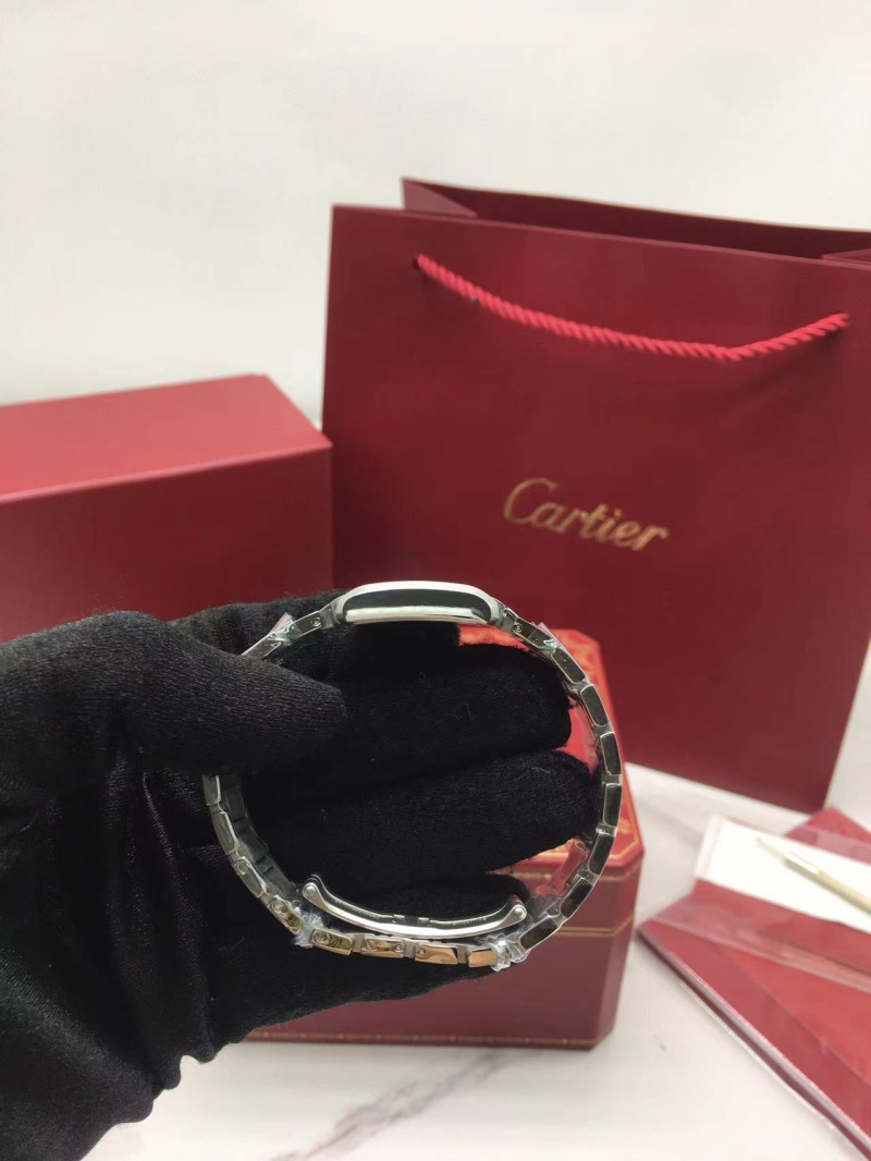 cartier_xxxxx_big_00004.jpg