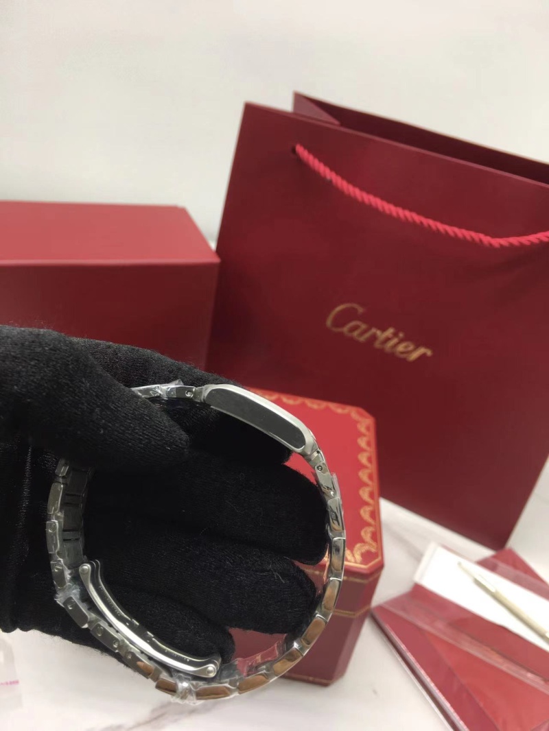 cartier_xxxxx_big_00006.jpg