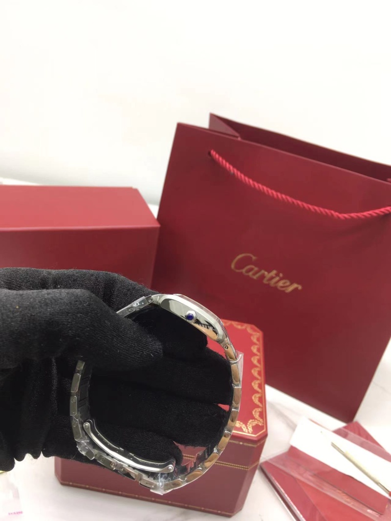 cartier_xxxxx_big_00008.jpg