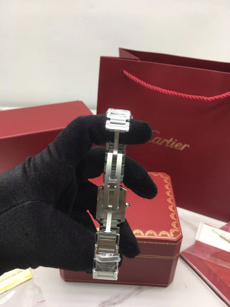 cartier_xxxxx_big_00007.jpg