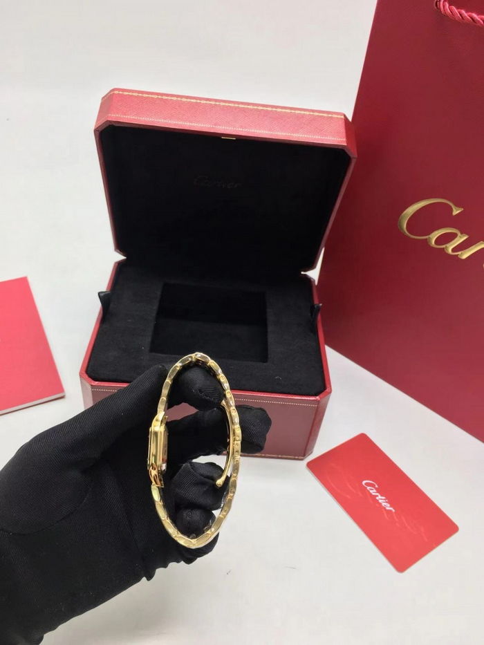 cartier_xxxxx_big_00003.jpg