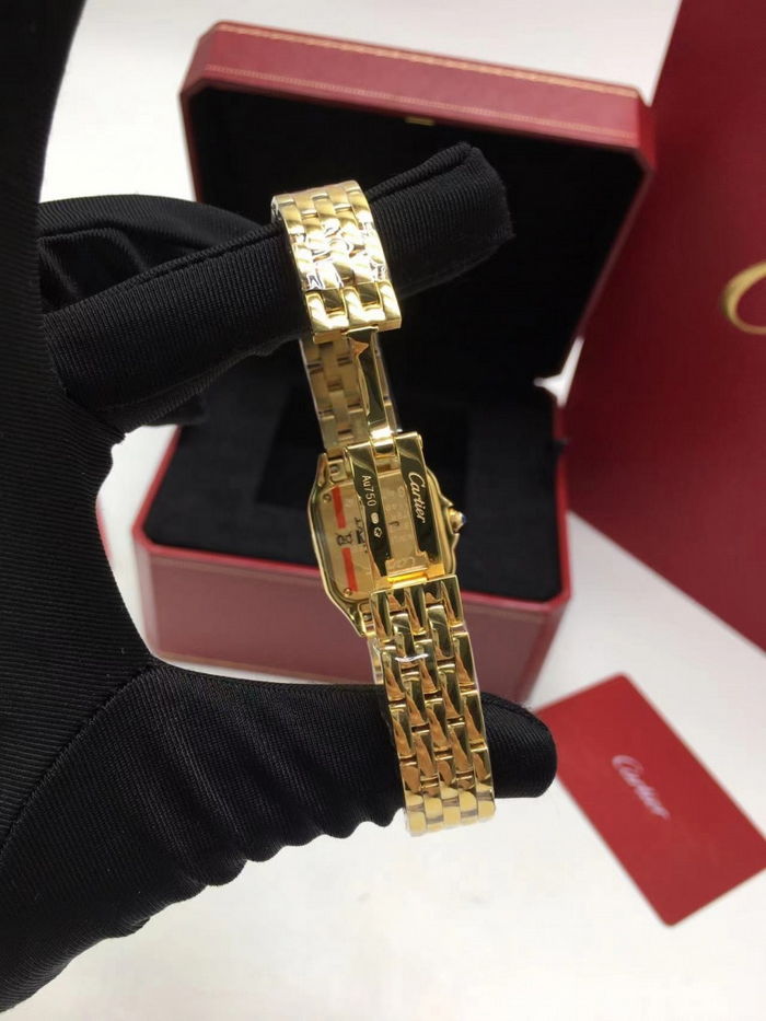 cartier_xxxxx_big_00007.jpg