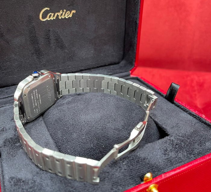 cartier_xxxxx_big_00005.jpg