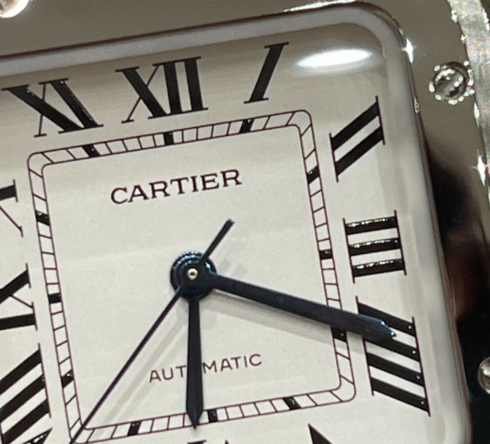 cartier_xxxxx_big_00015.jpg