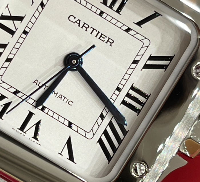 cartier_xxxxx_big_00017.jpg