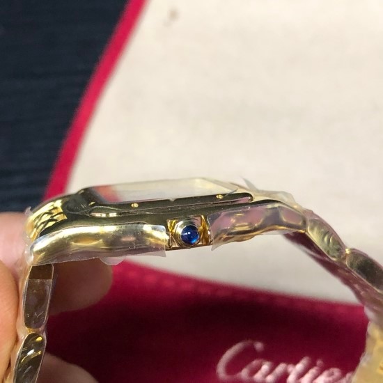 cartier_xxxxx_big_00004.jpg