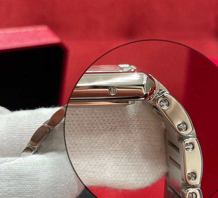 cartier_xxxxx_big_00017.jpg