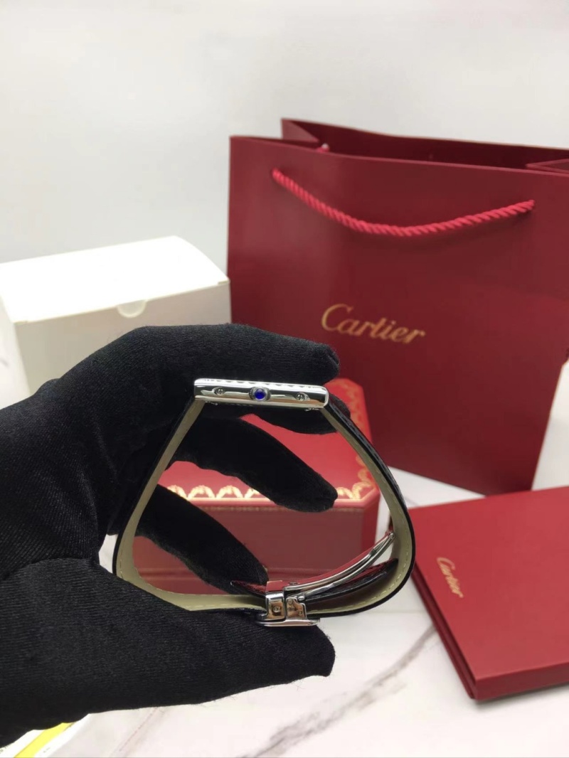 cartier_xxxxx_big_00003.jpg