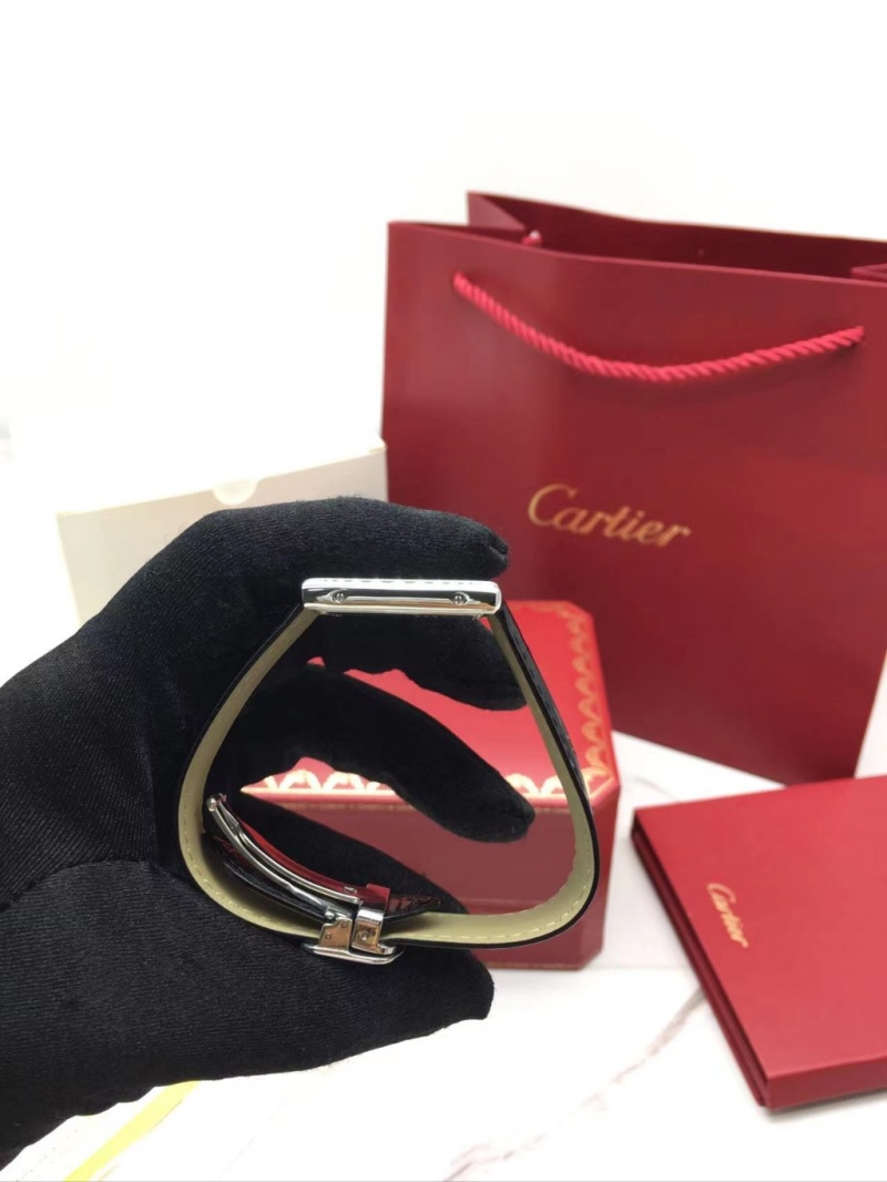 cartier_xxxxx_big_00005.jpg