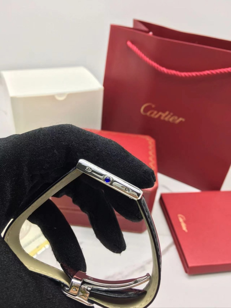 cartier_xxxxx_big_00004.jpg