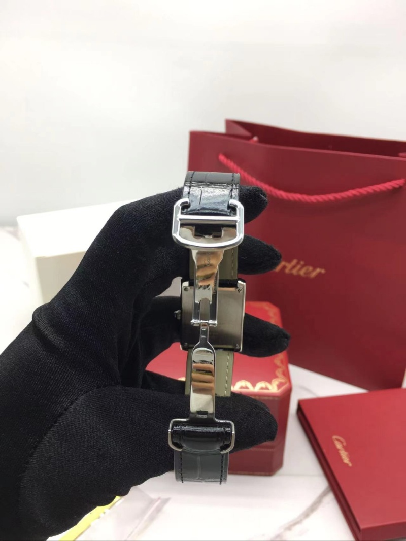 cartier_xxxxx_big_00007.jpg