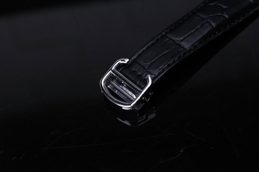 cartier_xxxxx_big_00008.jpg