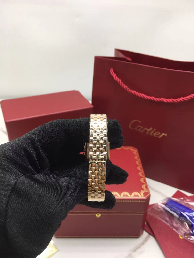 cartier_xxxxx_big_00003.jpg