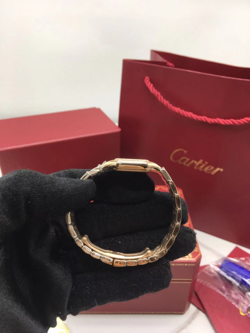 cartier_xxxxx_big_00004.jpg