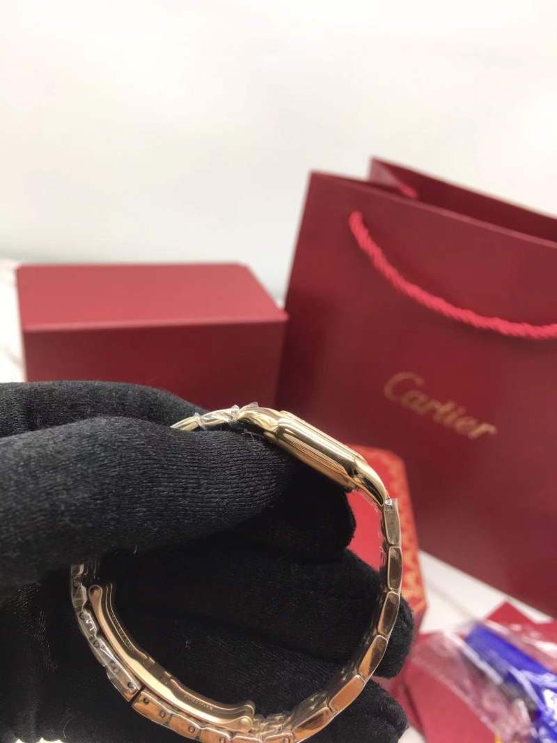 cartier_xxxxx_big_00005.jpg