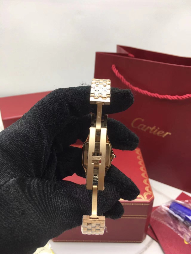 cartier_xxxxx_big_00008.jpg