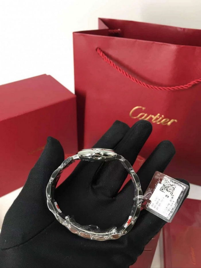 cartier_xxxxx_big_00017.jpg