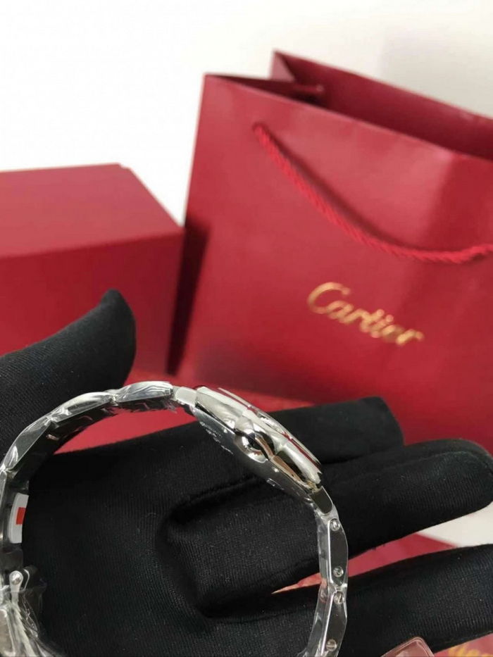 cartier_xxxxx_big_00019.jpg