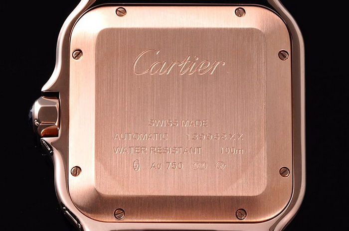 cartier_xxxxx_big_00005.jpg