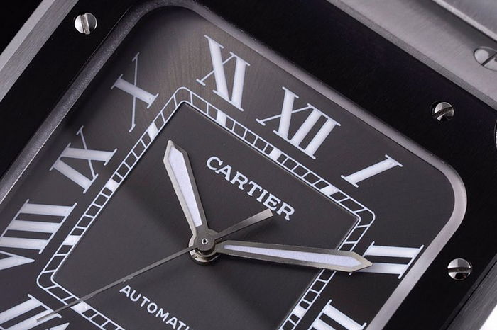 cartier_xxxxx_big_00002.jpg