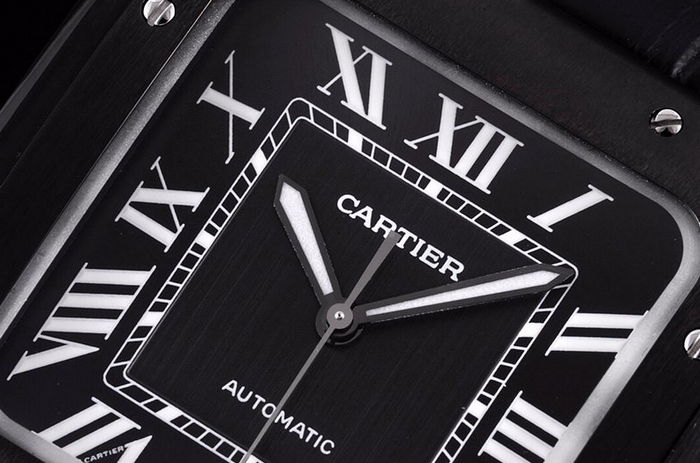 cartier_xxxxx_big_00002.jpg