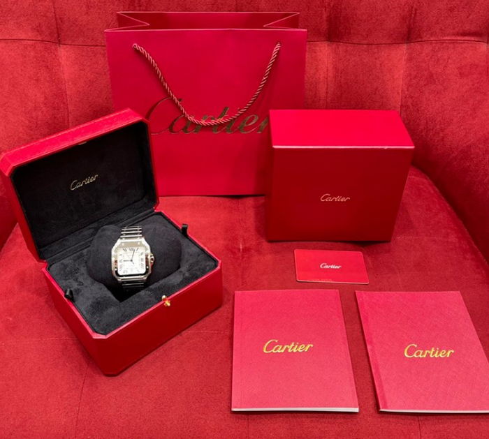 cartier_xxxxx_big_00003.jpg