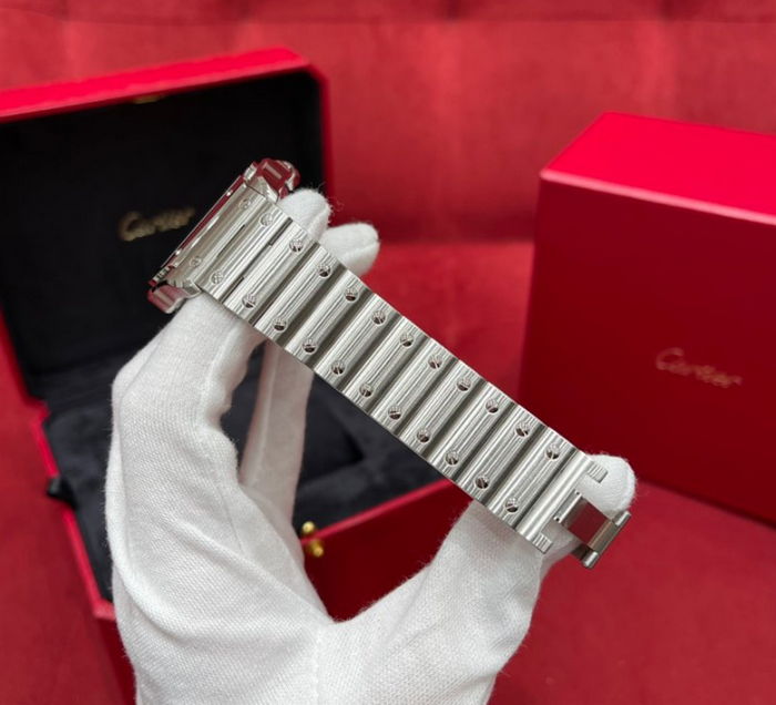 cartier_xxxxx_big_00005.jpg