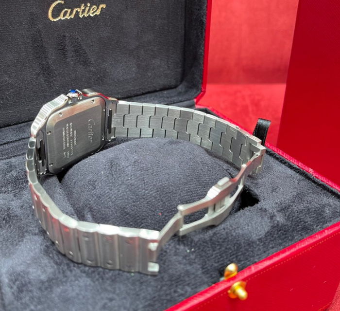 cartier_xxxxx_big_00017.jpg