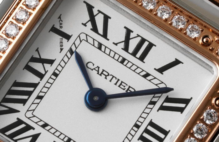 cartier_xxxxx_big_00003.jpg