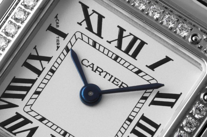 cartier_xxxxx_big_00003.jpg