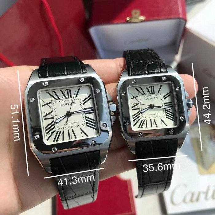 cartier_xxxxx_big_00001.jpg