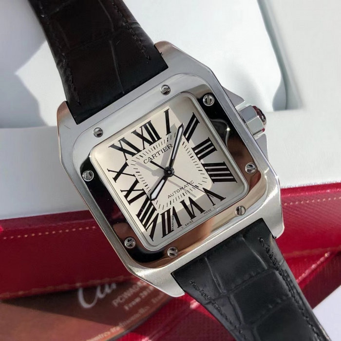 cartier_xxxxx_big_00003.jpg