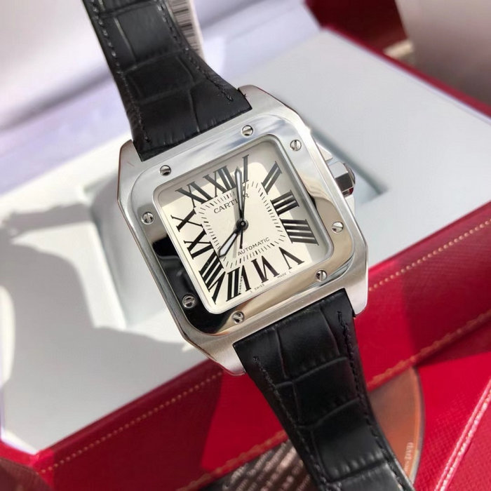 cartier_xxxxx_big_00002.jpg