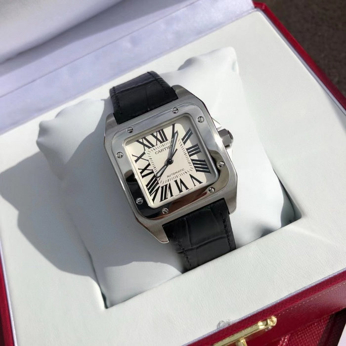 cartier_xxxxx_big_00004.jpg