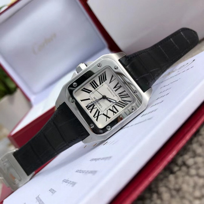 cartier_xxxxx_big_00005.jpg