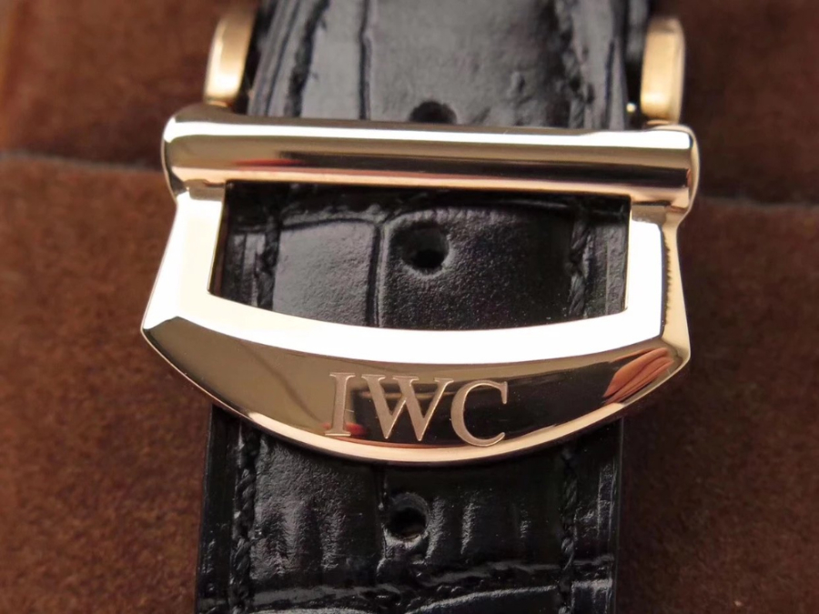 iwc_xxxxx_big_00011.jpg