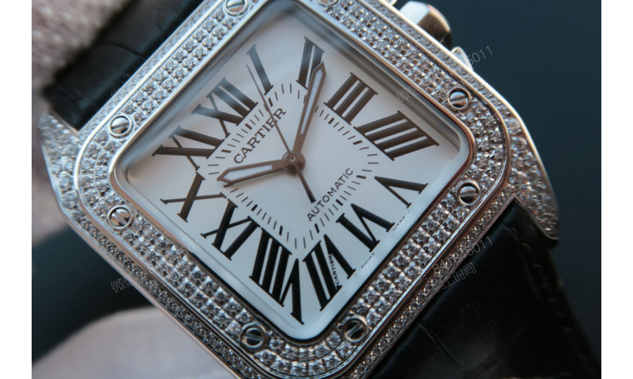 cartier_xxxxx_big_00006.jpg