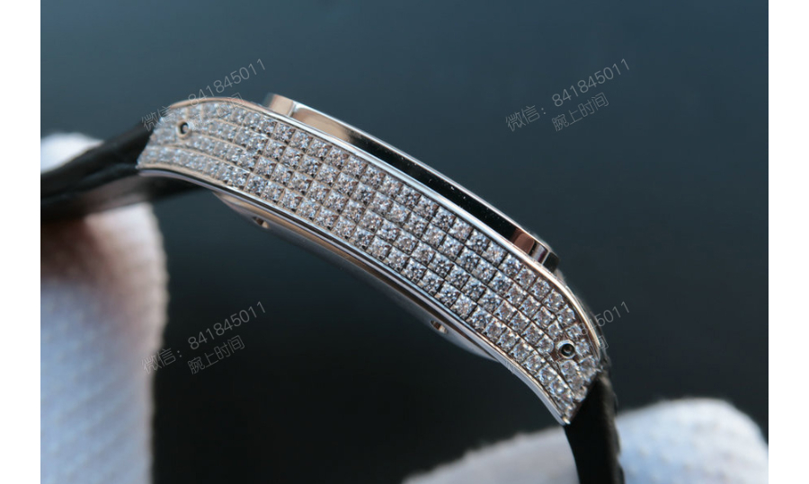 cartier_xxxxx_big_00008.jpg