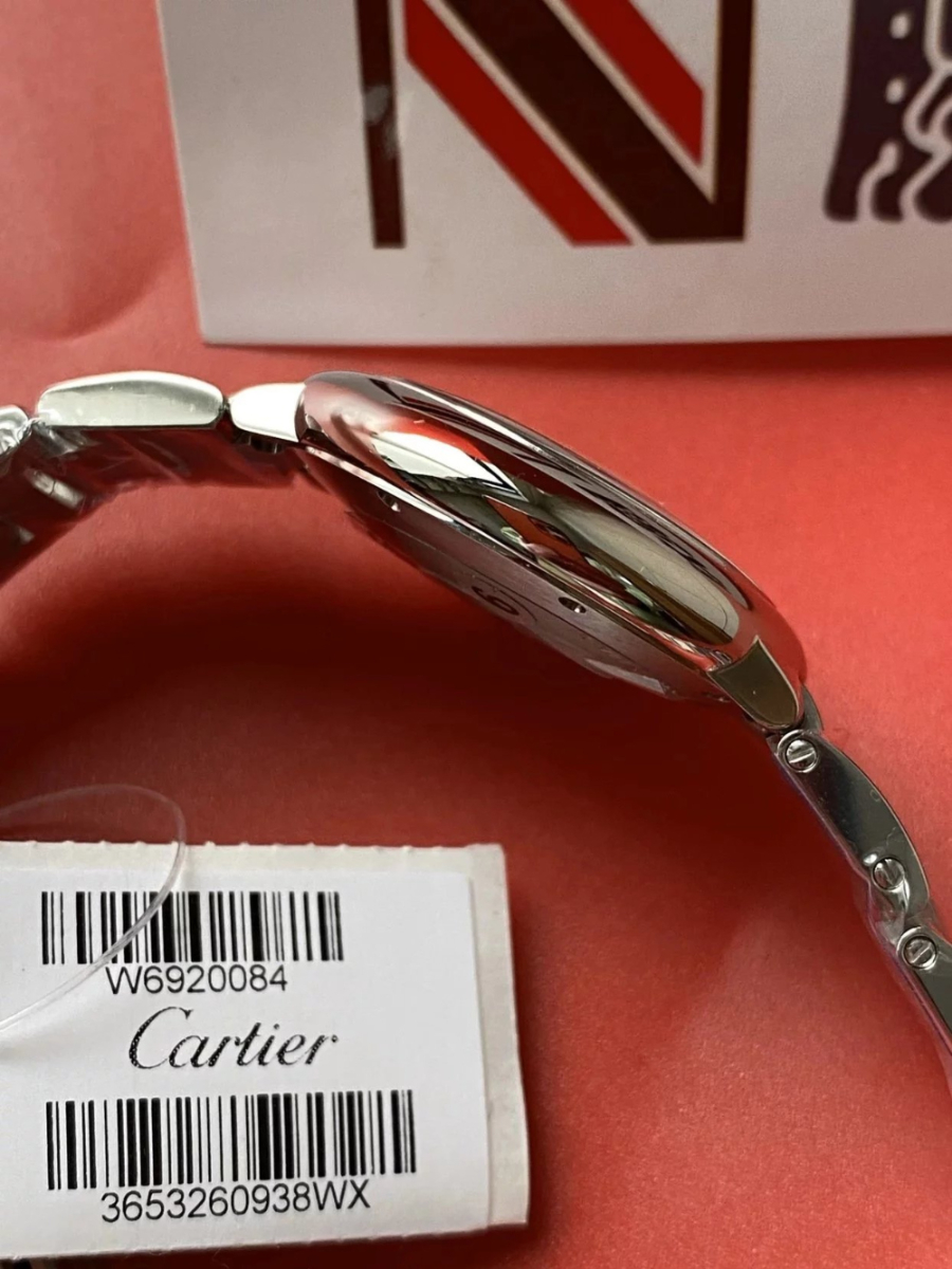 cartier_xxxxx_big_00015.jpg