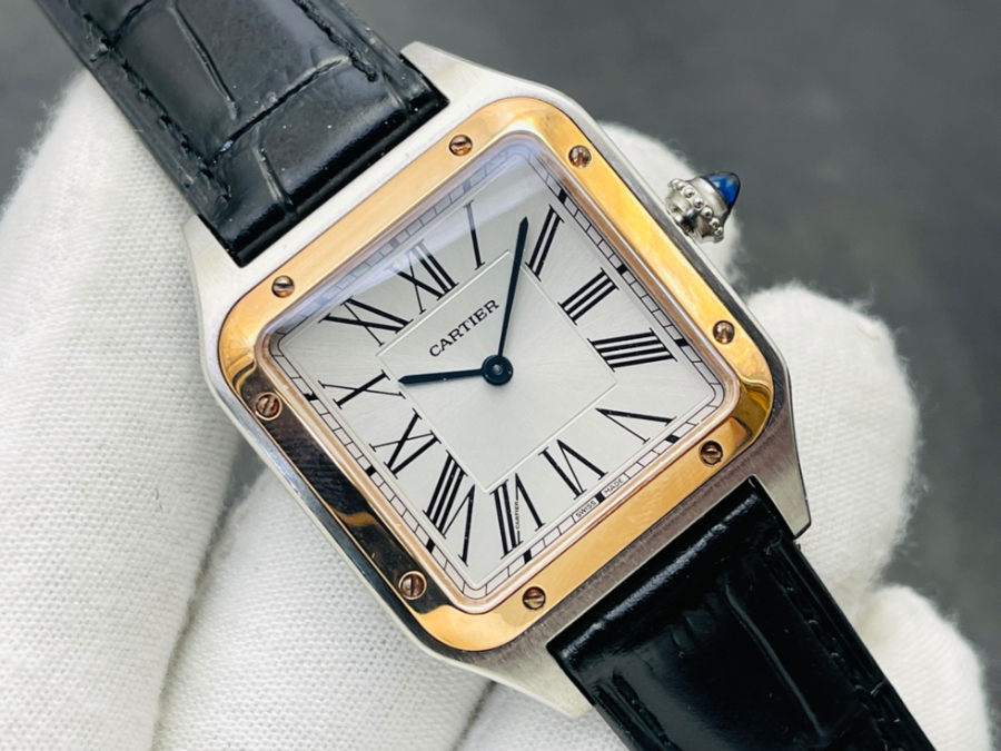 cartier_xxxxx_big_00002.jpg
